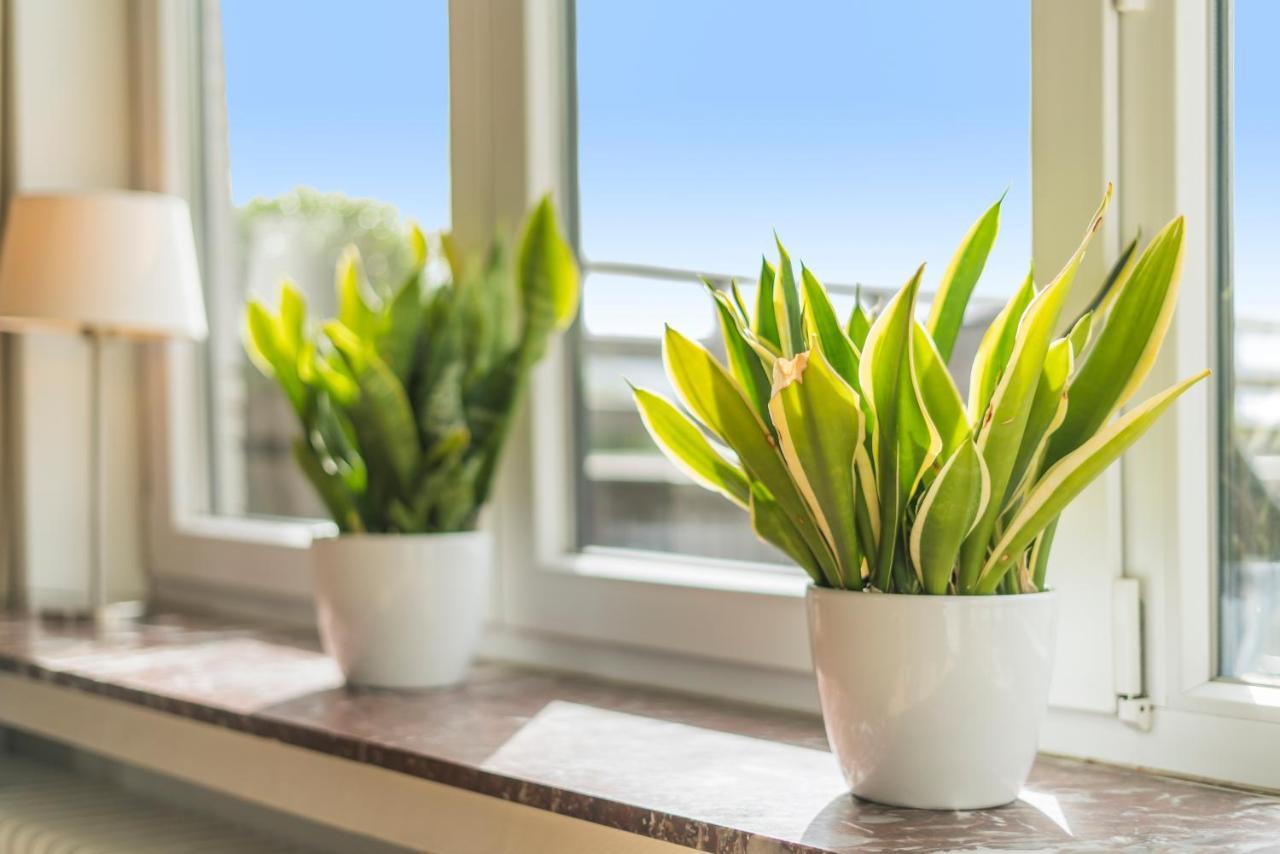 Apartamento Fuths Penthouse 55 Amberes Exterior foto